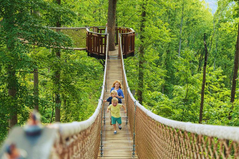 Things to Do as a Family in Gatlinburg